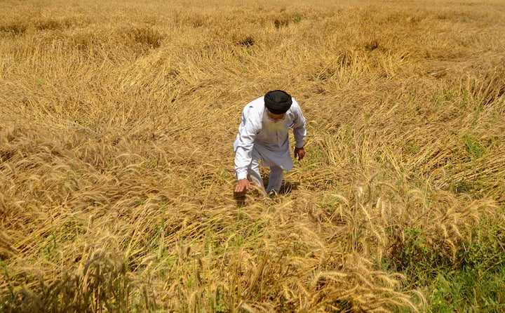 किस्त आने से पहले आप अपना स्टेटस जरूर चेक कर सकते हैं. इसके लिए आपको पीएम किसान योजना की आधिकारिक वेबसाइट pmkisan.gov.in पर जाना होगा. यहां होम पेज पर 'लाभार्थी स्थिति' (Beneficiary Status) पर क्लिक करें.