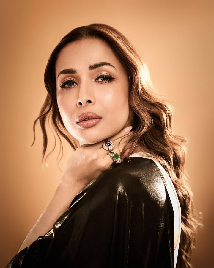 मालयकाने नुकताच तिचा एक खास लूक शेअर केला आहे.