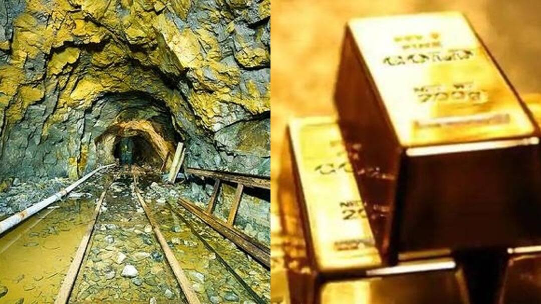 5 countries with the largest gold reserves in the world know whether India is in the list or not दुनिया में सबसे बड़े सोने के भंडार वाले 5 देश, जानें लिस्ट में भारत है या नहीं