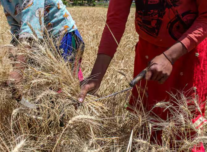 ਇੱਕ ਪਰਿਵਾਰ ਵਿੱਚੋਂ ਸਿਰਫ਼ ਇੱਕ ਕਿਸਾਨ ਨੂੰ ਹੀ ਇਸ ਯੋਜਨਾ ਦਾ ਲਾਭ ਦਿੱਤਾ ਜਾਂਦਾ ਹੈ, ਅਜਿਹੀ ਸਥਿਤੀ ਵਿੱਚ ਜੇਕਰ ਦੋ ਭਰਾ ਜਾਂ ਇੱਕ ਪਿਓ-ਪੁੱਤ ਇਸ ਯੋਜਨਾ ਦਾ ਲਾਭ ਲੈ ਰਹੇ ਹਨ, ਤਾਂ ਸਰਕਾਰ ਉਨ੍ਹਾਂ ਤੋਂ ਰਕਮ ਵਸੂਲ ਸਕਦੀ ਹੈ।