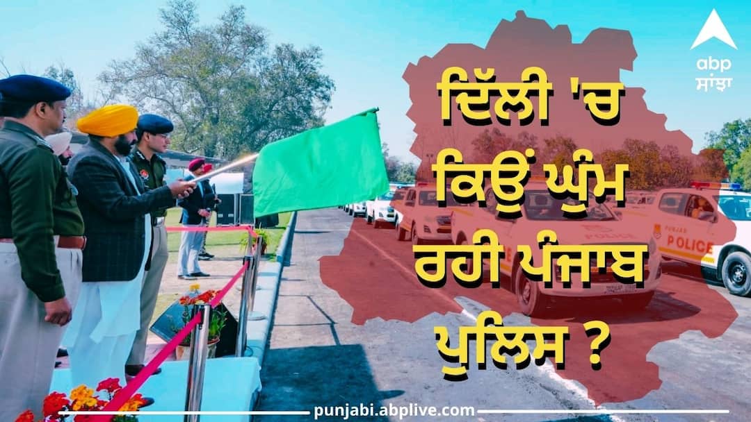 The leader is fine but why is the Punjab Police roaming around Delhi 