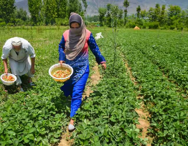 ਤੁਸੀਂ ਆਪਣਾ ਆਧਾਰ ਨੰਬਰ ਅਤੇ ਮੋਬਾਈਲ ਨੰਬਰ ਦਰਜ ਕਰਕੇ ਆਪਣੇ ਸਟੇਟਸ ਦੀ ਜਾਂਚ ਕਰ ਸਕਦੇ ਹੋ। ਧਿਆਨ ਰੱਖੋ ਕਿ ਤੁਹਾਡੇ ਖਾਤੇ ਦੀ ਈ-ਕੇਵਾਈਸੀ ਪੂਰਾ ਹੋ ਗਿਆ ਹੈ। ਇਸ ਤੋਂ ਬਿਨਾਂ ਤੁਹਾਡੇ ਖਾਤੇ ਵਿੱਚ ਦੋ ਹਜ਼ਾਰ ਰੁਪਏ ਨਹੀਂ ਆਉਣਗੇ।