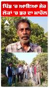 ਪੰਜਾਬ ਦੇ ਇਸ ਪਿੰਡ 'ਚ ਆਇਆ ਸ਼ੇਰ