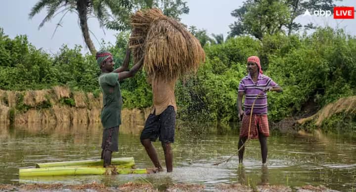 PM Kisan Yojana: ਦੇਸ਼ ਭਰ ਦੇ ਕਰੋੜਾਂ ਕਿਸਾਨ ਪ੍ਰਧਾਨ ਮੰਤਰੀ ਕਿਸਾਨ ਯੋਜਨਾ ਦੀ ਅਗਲੀ ਕਿਸ਼ਤ ਦੀ ਬੇਸਬਰੀ ਨਾਲ ਉਡੀਕ ਕਰ ਰਹੇ ਹਨ, ਹਾਲਾਂਕਿ ਇਸ ਵਾਰ ਹਰ ਕਿਸਾਨ ਦੇ ਖਾਤੇ ਵਿੱਚ ਇਹ ਰਕਮ ਨਹੀਂ ਆਵੇਗੀ।