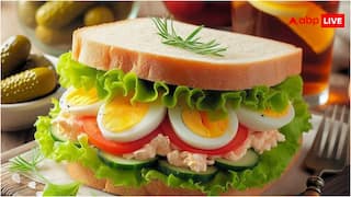 सैंडविच के शौकीन देख लें दुनिया के टॉप-50 सैंडविच की लिस्ट, चेक करें टॉप-5 डिशेज में आपने क्या-क्या चखा?