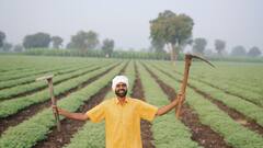 Agriculture Budget 2025:  क्या देश के किसानों पर सरकार होगी मेहरबान? ये हैं एग्रीकल्चर सेक्टर की बजट से उम्मीदें