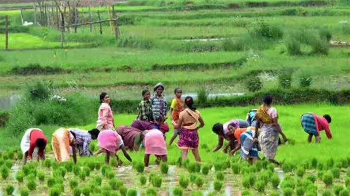 આવા ઘણા ખેડૂતો પણ આ યોજનાનો લાભ લઈ રહ્યા છે, જેઓ માત્ર નામના ખેડૂતો છે. એટલે કે તેમની પાસે ખેતીલાયક જમીન નથી. હવે સરકાર ઈ-કેવાયસી દ્વારા આવા ખેડૂતોની ઓળખ કરી રહી છે.