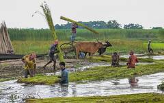 PM Kisan Yojana: इन किसानों के खाते में किस्त आने की बजाय कट जाएंगे पैसे, तुरंत चेक कर लें योजना के नियम