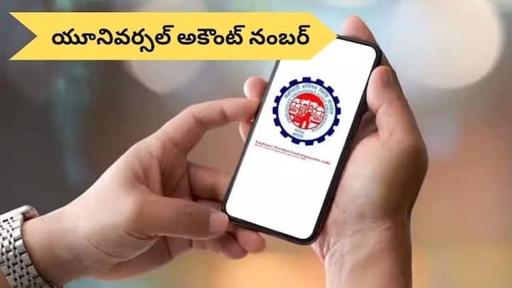 Is your UAN linked to someone else ID Delete it like this EPFO: మీ UAN వేరొకరి IDతో లింక్ అయిందా?, దానిని ఇలా డిలీట్‌ చేయండి