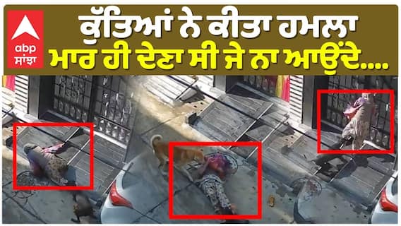 ਕੁੱਤਿਆਂ ਨੇ ਕੀਤਾ ਹਮਲਾ, ਮਾਰ ਹੀ ਦੇਣਾ ਸੀ ਜੇ ਨਾ ਆਉਂਦੇ...