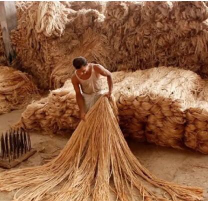 ਕਿਸਾਨਾਂ ਦੀ ਬੱਲੇ-ਬੱਲੇ! MSP ਨੂੰ ਲੈ ਕੇ ਮੋਦੀ ਸਰਕਾਰ ਨੇ ਕੀਤਾ ਵੱਡਾ ਐਲਾਨ