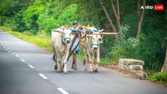 PM Kisan Yojana: इन किसानों के खाते में किस्त आने की बजाय कट जाएंगे पैसे, तुरंत चेक कर लें योजना के नियम