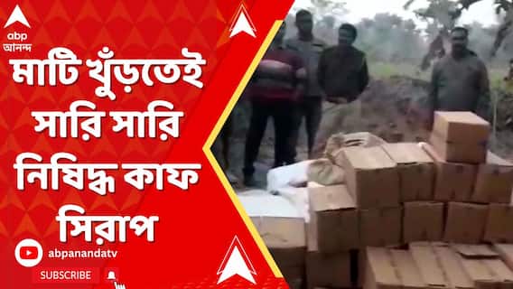 বাগানে চোরাকুঠুরি। মাটি খুঁড়তেই সারি সারি নিষিদ্ধ কাফ সিরাপ