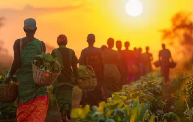 ਖੇਤੀਬਾੜੀ ਉਪਕਰਣਾਂ 'ਤੇ ਜੀਐਸਟੀ ਘਟਾਉਣ ਵੱਲ ਵੀ ਕਦਮ ਚੁੱਕੇ ਜਾ ਸਕਦੇ ਹਨ। ਹਾਲਾਂਕਿ, ਜੀਐਸਟੀ ਕੇਂਦਰੀ ਬਜਟ ਦੇ ਦਾਇਰੇ ਤੋਂ ਬਾਹਰ ਹਨ ਕਿਉਂਕਿ ਇਹ ਕੌਂਸਲ ਦੁਆਰਾ ਫੈਸਲਾ ਕੀਤਾ ਜਾਂਦਾ ਹੈ।