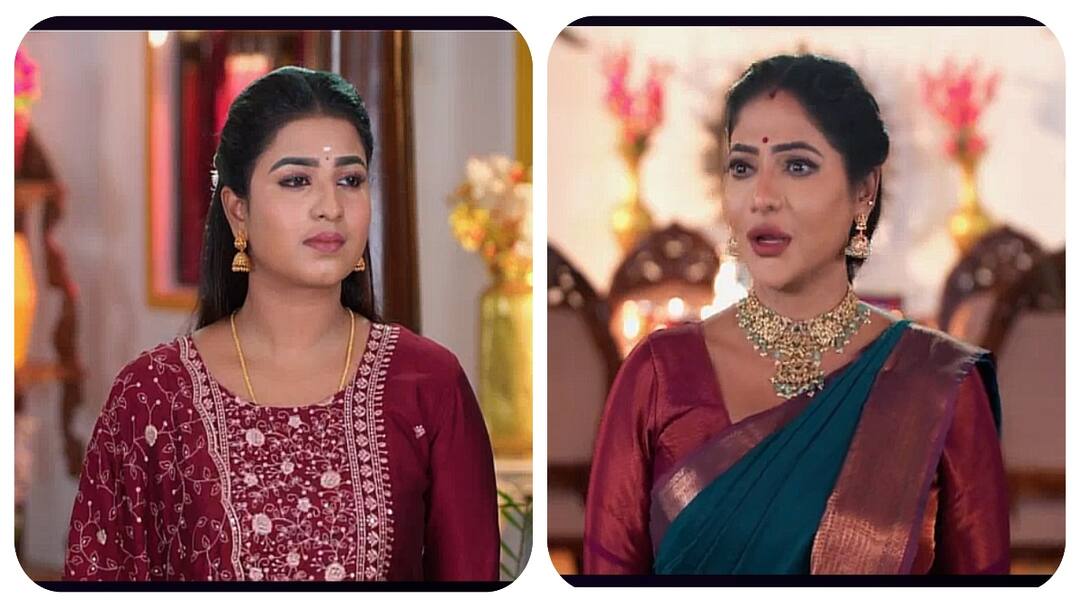 Karthigai Deepam: மாயா புடவையால் கார்த்திக் ஷாக்! போட்டோவை எரித்த ரேவதிக்கு காத்திருக்கும் பகீர்!