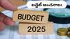 Budget 2025 Expectations: ఈ బడ్జెట్ మధ్యతరగతి ప్రజలకు స్పెషల్గా నిలుస్తుంది, కొత్త స్కీమ్లతో మీ మతిపోతుంది!