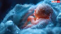 IVF के दौरान काफी दर्द में थीं फराह खान, एक दिन में लेने पड़ते थे 5 इंजेक्शन- जानें कितना दर्दनाक है ये प्रोसेस