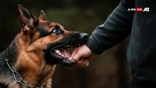 क्या वैक्सीन लगे हुए कुत्ते के काटने के बाद नहीं होता है रेबीज? ये रहा जवाब