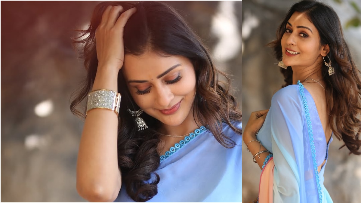 Payal Rajput: పాయల్... శారీలో జిల్ జిల్ జిగేల్ - లుక్ బ్యూటిఫుల్, స్మైలీ లవ్