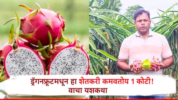 Success Story:ड्रॅगनफ्रूटमधून हा शेतकरी वर्षाकाठी 1 कोटी कमावतोय, एका झाडाला 14-15 किलाेंची फळं, वाचा यशोगाथा