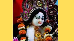 Saraswati Puja 2025 : সরস্বতী ও তাঁর বাহন কেন শ্বেতশুভ্র, অথচ কেন এদিন পরতেই হবে হলুদ