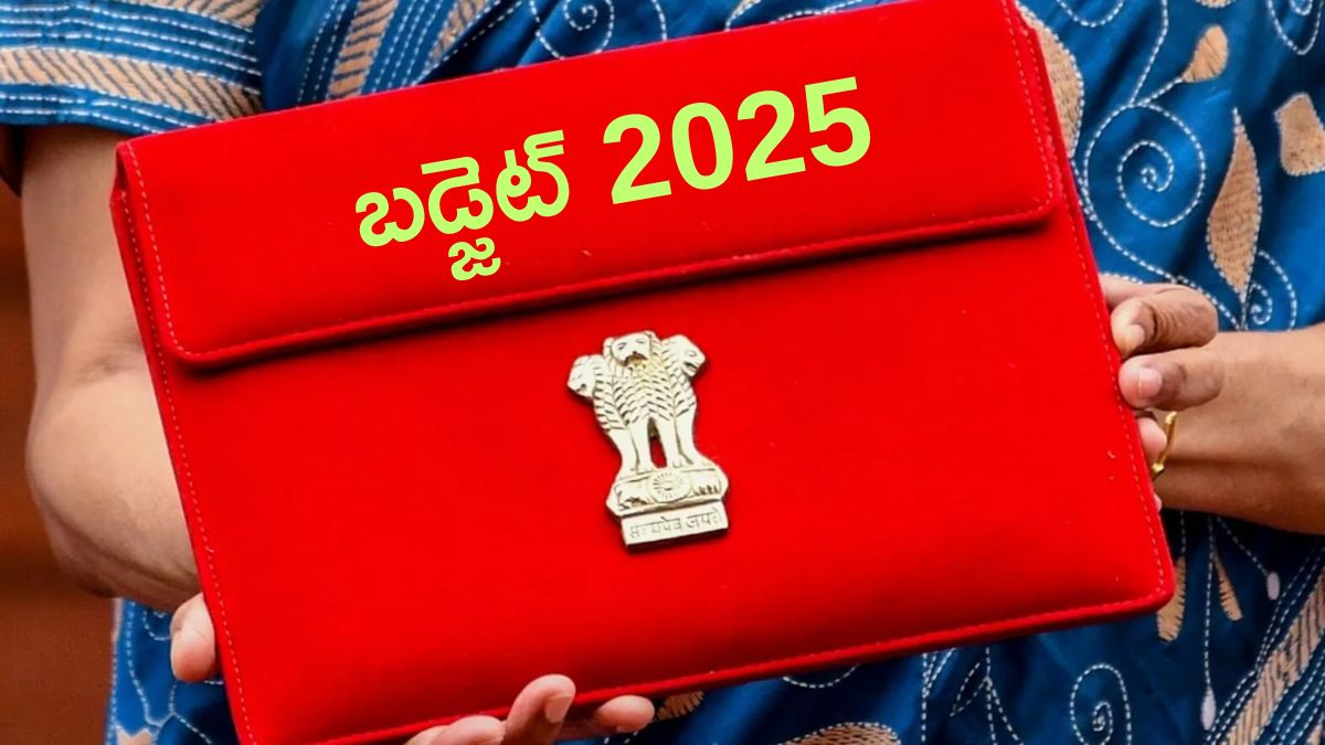 Budget 2025: ఆర్థిక సంస్కరణల నుంచి పన్ను విధానాల వరకు - ఈ బడ్జెట్‌లో గమనించాల్సిన కీ పాయింట్స్‌