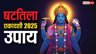 Shattila Ekadashi 2025: षटतिला एकादशी पर सूर्य, शनि और इन शैतान ग्रहों को कैसे करें शांत
