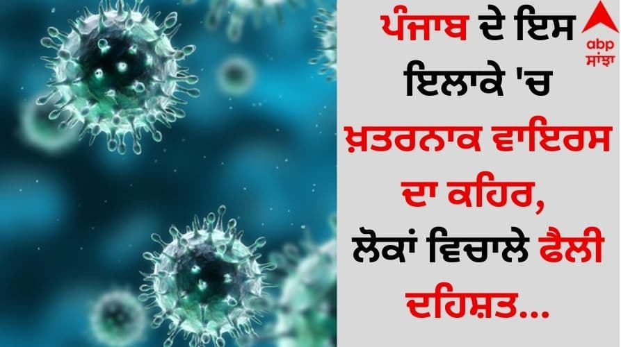 Punjab News: ਪੰਜਾਬ ਦੇ ਇਸ ਇਲਾਕੇ 'ਚ ਖ਼ਤਰਨਾਕ ਵਾਇਰਸ ਦਾ ਕਹਿਰ, ਲੋਕਾਂ ਵਿਚਾਲੇ ਫੈਲੀ ਦਹਿਸ਼ਤ The deadly virus is spreading in this area of Punjab, causing panic among the people punjab news Punjab News: ਪੰਜਾਬ ਦੇ ਇਸ ਇਲਾਕੇ 'ਚ ਖ਼ਤਰਨਾਕ ਵਾਇਰਸ ਦਾ ਕਹਿਰ, ਲੋਕਾਂ ਵਿਚਾਲੇ ਫੈਲੀ ਦਹਿਸ਼ਤ