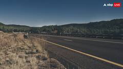 सड़क के बीचों बीच इसलिए लगाए जाते हैं पौधे, जवाब जानकर हो जाएंगे खुश