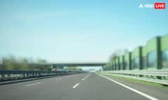 ਸੜਕਾਂ ਦੇ ਵਿਚਕਾਰ ਕਿਉਂ ਲਾਏ ਜਾਂਦੇ ਪੌਦੇ? ਜਵਾਬ ਸੁਣ ਕੇ ਰਹਿ ਜਾਓਗੇ ਹੈਰਾਨ