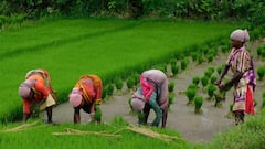 क्या किसानों को मिलने वाला है बड़ा तोहफा? पीएम किसान योजना को लेकर ये है बड़ा अपडेट