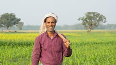 Budget 2025 Expectations: किसान सम्मान निधि में बढ़ोतरी और 5 लाख की KCC, बजट 2025 में किसानों के लिए ये बड़े फैसले ले सकती है सरकार