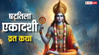 Shattila Ekadashi 2025: षटतिला एकादशी व्रत कथा, इस दिन दान करना क्यों जरुरी जानें