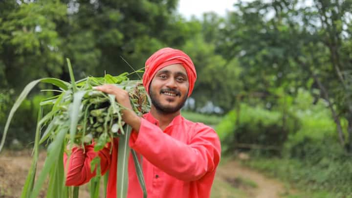 बजट को लेकर उम्मीद है कि सरकार कृषि क्षेत्र और इससे संबंधित गतिविधियों के लिए  करीब 1.75 लाख करोड़ रुपये का आवंटन कर सकती है. यह पिछले साल के मुकाबले 15 परसेंट ज्यादा है. चालू वित्त वर्ष में यह राशि 1.52 ट्रिलियन रुपये है.