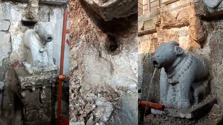 झऱ्याच्या मार्गातील क्षार आणि आसपासचा थर काढण्यात आला आहे. तसेच, झऱ्याच्या मार्गातील जुनी नाणी काढण्यात आल्यानंतर 35 वर्षापासून बंद असलेला झरा पुन्हा एकदा नव्याने सुरू झाला आहे.