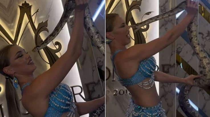 Woman was posing with snake near her face suddenly snake attacked her nose Viral Video: ਸੱਪ ਨੂੰ ਆਪਣੇ ਚਿਹਰੇ ਦੇ ਨੇੜੇ ਰੱਖ ਕੇ ਪੋਜ਼ ਦੇ ਰਹੀ ਸੀ ਔਰਤ, ਅਚਾਨਕ ਸੱਪ ਨੇ ਨੱਕ 'ਤੇ ਕੀਤਾ ਹਮਲਾ, ਦੇਖੋ ਵੀਡੀਓ