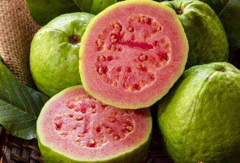 ડાયાબિટીસના દર્દીઓ આખા દિવસમાં 1 જામફળ ખાઈ શકે છે. નાસ્તામાં જામફળ ખાવું વધુ ફાયદાકારક માનવામાં આવે છે. આ દિવસભર બ્લડ સુગરને નિયંત્રિત કરવામાં મદદ કરે છે.