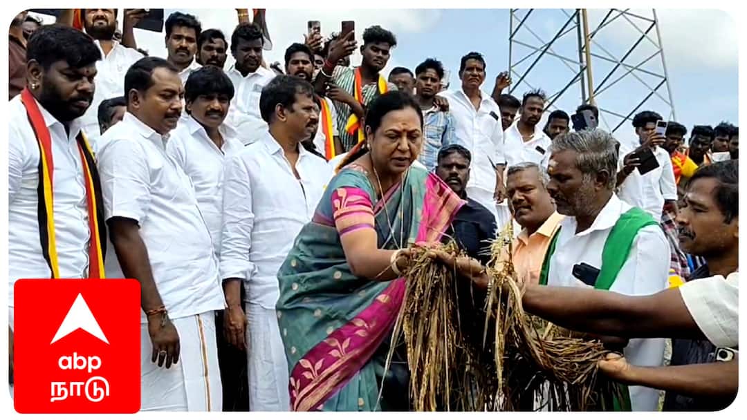 தமிழக அரசு மத்திய அரசு மீது பழி போட்டு தப்பிக்க கூடாது - பிரேமலதா விஜயகாந்த்...!