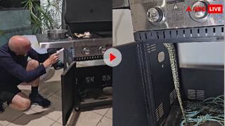 'जहर ढूंढने आया होगा' बारबेक्यू में मिला लंबा-चौड़ा सांप तो यूजर्स ने किए अजब-गजब कमेंट्स