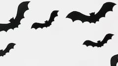 Facts About Bats: বিবর্তনের পর আজও সহজাত হতে পারেনি, বাদুড় কেন উল্টো হয়ে ঝোলে জানেন?