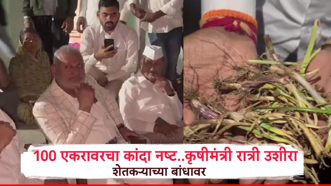Nashik Devla 100 Acres of Onion Destroyed Due to Herbicide Spraying Agriculture Minister Manikrao Kokate Visits Farmer Fields Late at Night Nashik: 100 एकरावरचा कांदा तणनाशक फवारणीमुळं नष्ट, रात्री उशीरा कृषीमंत्री शेतकऱ्याच्या बांधावर