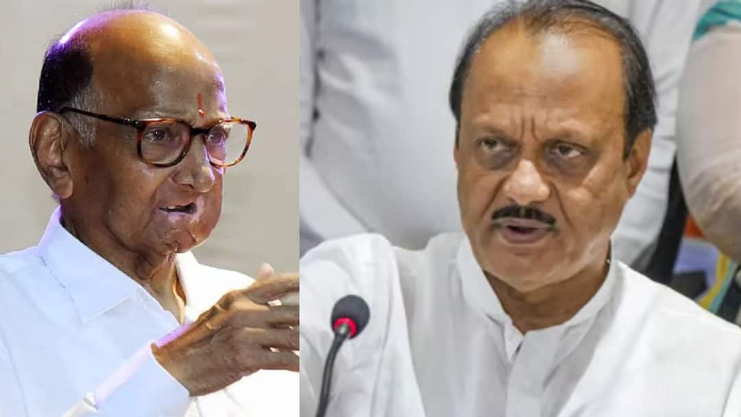 ‘We Will Never...’: What Sharad Pawar Said On Teaming Up With Ajit Pawar ‘We Will Never...’: What Sharad Pawar Said On Teaming Up With Ajit Pawar