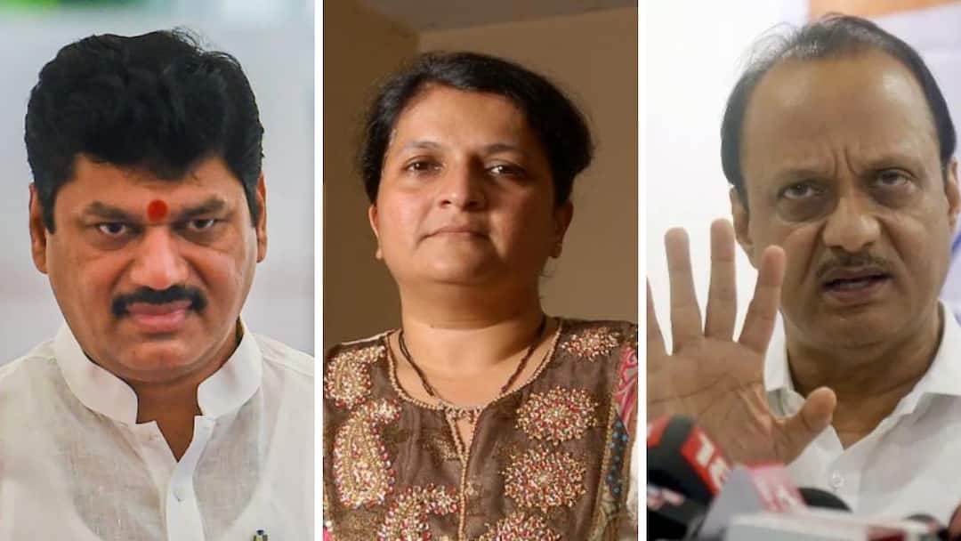 Anjali Damania on Ajit Pawar : अजित पवार आणि माझा 36 चा आकडा, पण धनंजय मुंडेंविरोधात त्यांना पुरावे हवे आहेत ना? अंजली दमानियांचा मोठा निर्णय Anjali Damania says I have requested a time to meet Ajit Pawar to demand Dhananjay Munde resignation santosh deshmukh case Anjali Damania on Ajit Pawar : अजित पवार आणि माझा 36 चा आकडा, पण धनंजय मुंडेंविरोधात त्यांना पुरावे हवे आहेत ना? अंजली दमानियांचा मोठा निर्णय