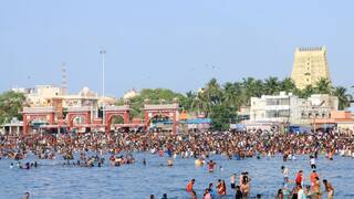 Thai Amavasai 2025: தை அமாவாசை எப்போது? முக்கியத்துவம் என்ன? விவரம் இதோ!