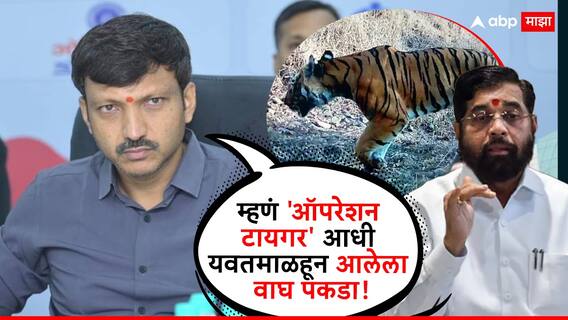शिवसेनेच्या ऑपरेशन टायगरची खिल्ली; ओमराजेंची डरकाळी, आधी यवतमाळहून आलेला वाघ पकडा
