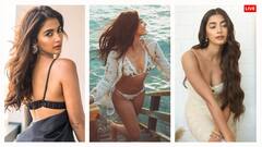 बैकलेस ब्लाउज, डीपनेक ड्रेस... 'देवा' एक्ट्रेस पूजा हेगड़े ने इन लुक्स से लूटा फैंस का करार, देखें फोटोज