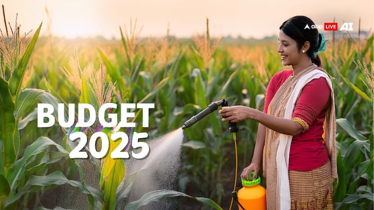 Budget 2025 Expectations For Agriculture: Cluster-Based Approach, Revamping Post-Harvest Infrastructure, More Expert Policy Recommendations