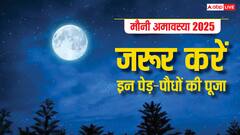 Mauni Amavasya 2025: मौनी अमावस्या पर जरूर करें इन पेड़ों की पूजा, जाग जाएगा सोया भाग्य