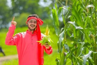 अर्थसंकल्पात मोदी सरकार शेतकऱ्यांना देणार गिफ्ट, वर्षाला मिळणार 12000 रुपये? नेमका काय होणार निर्णय? 