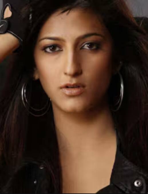 वर्क फ्रंट पर श्रुति ने चाइल्ड एक्टर के तौर पर की थी. फिर उन्होंने लक फिल्म से बॉलीवुड डेब्यू किया. श्रुति ने दिल तो बच्चा है जी, डी-डे, तेवर, वेलकम वेक, यारा जैसी फिल्में की हैं. हालांकि, बॉलीवुड में वो ज्यादा फेम नहीं पा सकीं.